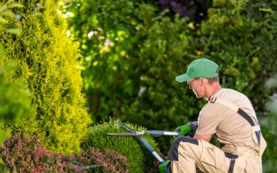 Entretien de jardin à Bertrange : le calendrier saisonnier pour un extérieur impeccable toute l’année